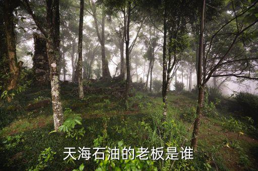 天海收購英邁什么時(shí)間，信用卡能不能申請(qǐng)延遲2天?？?/></a></span><span id=