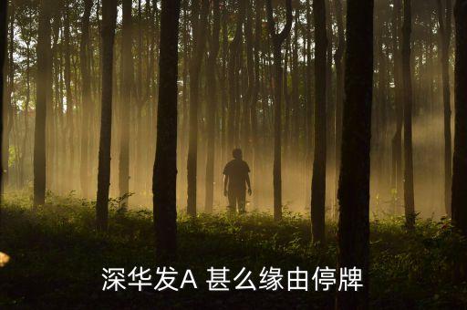 深紡織a為什么停牌，深紡織A有什么情況為什么一開盤就直瀉下行