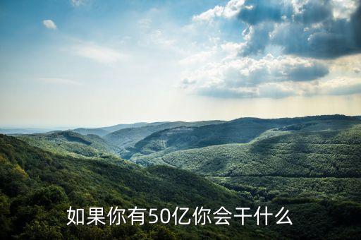 50億投資什么行業(yè)，如果你有50億你會(huì)干什么