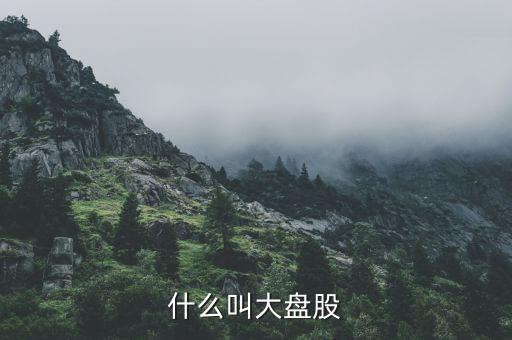 大盤股是什么意思，什么是大盤股