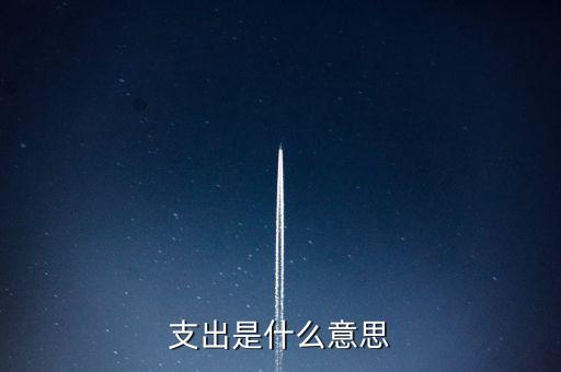 什么是下甩支出，請問會計里面的甩帳是什么意思