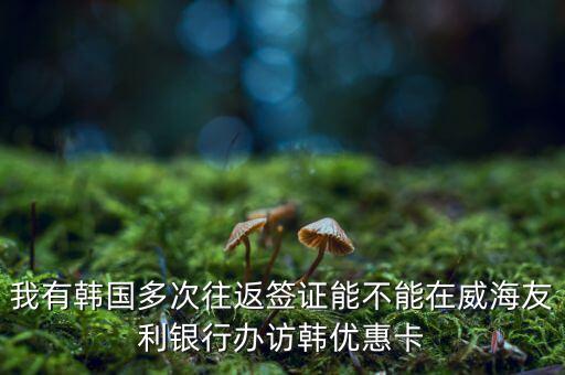 訪韓優(yōu)惠卡有什么作用，我有韓國(guó)多次往返簽證能不能在威海友利銀行辦訪韓優(yōu)惠卡