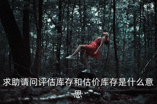 求助請(qǐng)問(wèn)評(píng)估庫(kù)存和估價(jià)庫(kù)存是什么意思
