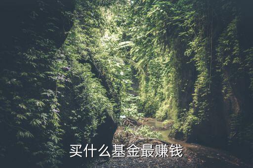 買什么基金賺錢，買什么樣的基金能賺錢