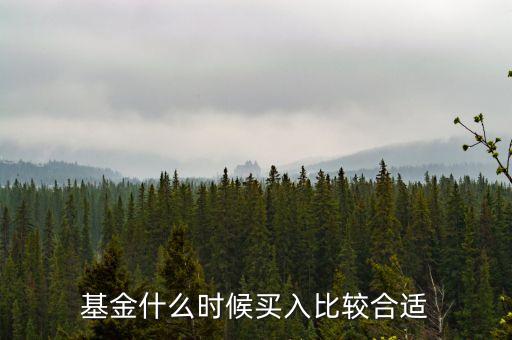 基金在什么時(shí)候買入，買入基金的最佳時(shí)機(jī)