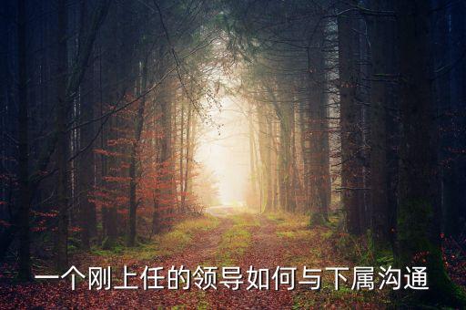 新任董事長應(yīng)該做什么，董事會(huì)換屆選舉怎么做