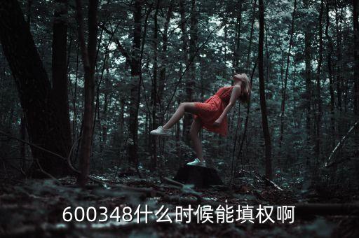 600348什么時(shí)候能填權(quán)啊