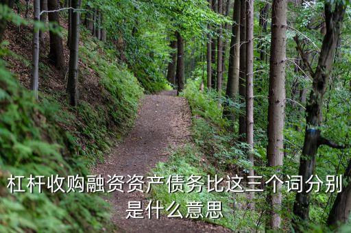 杠桿收購融資資產(chǎn)債務(wù)比這三個(gè)詞分別是什么意思