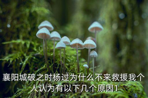 華舟應(yīng)急什么時候上市，被稻葉劃傷時的應(yīng)急處理方法有那些