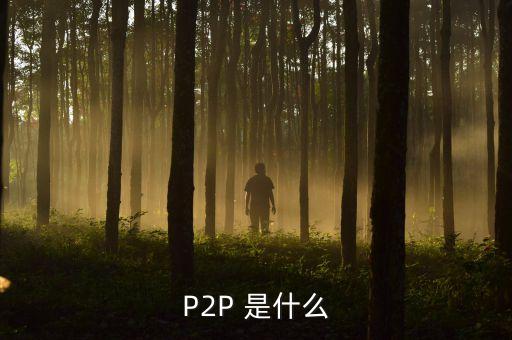 p2p項(xiàng)目是什么，什么是p2p