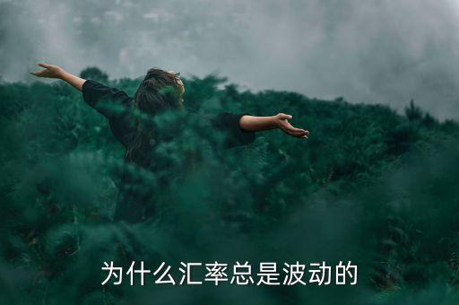 匯率為什么會波動，匯率為什么會出現(xiàn)波動
