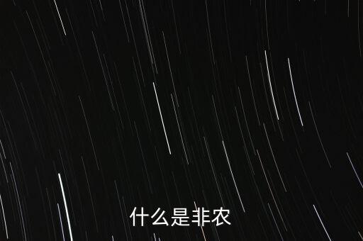 什么是非農(nóng)