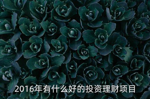 2016年下半年投資什么，適合2016年投資創(chuàng)業(yè)的項目有哪些