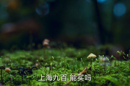 上海九百是做什么的，上海九百怎么樣
