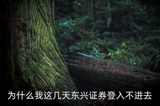 為什么周六東興證券交易無法登入，為什么我這幾天東興證券登入不進(jìn)去