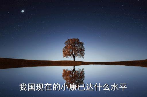 我國現(xiàn)在的小康已達(dá)什么水平