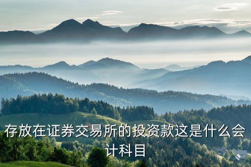 證券投資屬于什么會(huì)計(jì)科目，存放在證券交易所的投資款這是什么會(huì)計(jì)科目
