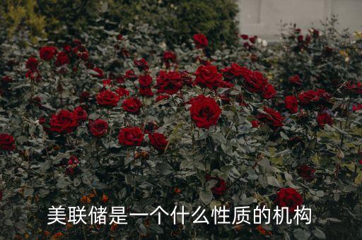 美聯(lián)儲是一個什么性質(zhì)的機(jī)構(gòu)