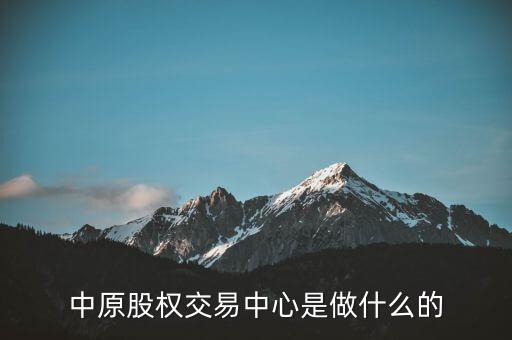 中原股權(quán)交易中心是做什么的