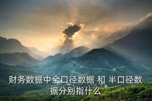 業(yè)務(wù)口徑是什么，財(cái)務(wù)數(shù)據(jù)中全口徑數(shù)據(jù) 和 半口徑數(shù)據(jù)分別指什么
