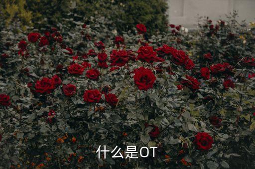 審計(jì)ot是什么意思，什么是OT