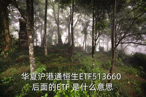恒生etf基金是什么，華夏滬港通恒生ETF513660 后面的ETF 是什么意思