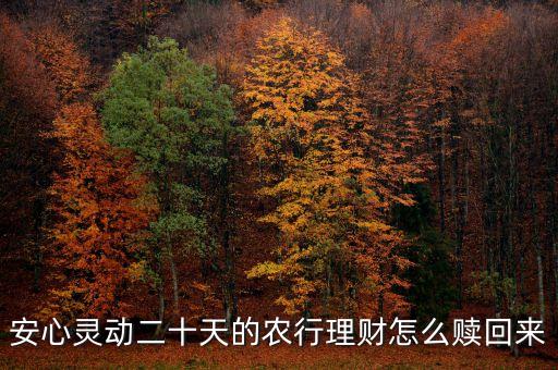 安心靈動20天什么時候可以贖回，安心靈動二十天的農(nóng)行理財怎么贖回來
