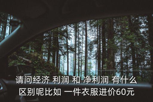 請問經濟 利潤 和 凈利潤 有什么區(qū)別呢比如 一件衣服進價60元