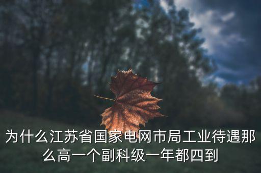 電力住房公積金為什么高，國(guó)家電網(wǎng)正式工公積金800元高嗎