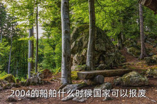 2004年干散貨船舶什么時(shí)候報(bào)廢，河北2004年前四后八什么時(shí)候報(bào)廢