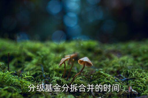 基金什么時候拆分，基金一般在什么時候拆分或分紅