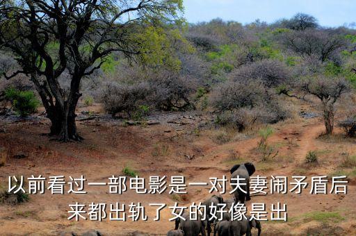 候永財(cái)執(zhí)導(dǎo)過什么電影，以前看過一部電影是一對夫妻鬧矛盾后來都出軌了女的好像是出