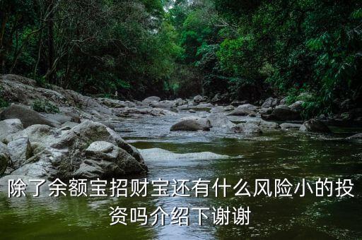 除了余額寶招財寶還有什么風險小的投資嗎介紹下謝謝