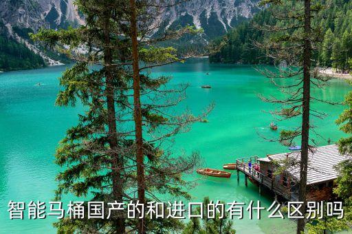 智能馬桶國產(chǎn)的和進口的有什么區(qū)別嗎