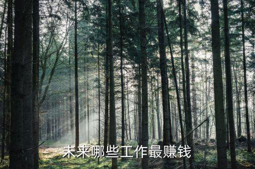 未來(lái)哪些工作最賺錢