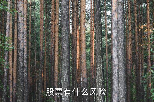 股票有什么風險