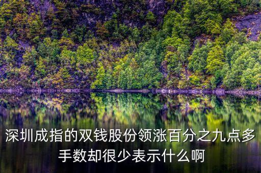 雙錢股份是什么公司，深圳成指的雙錢股份領(lǐng)漲百分之九點(diǎn)多 手?jǐn)?shù)卻很少表示什么啊