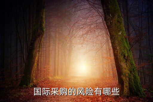國際采購的風(fēng)險(xiǎn)有哪些
