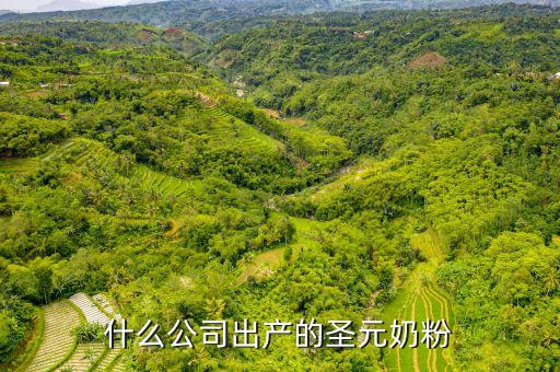 圣元是什么公司，什么公司出產(chǎn)的圣元奶粉