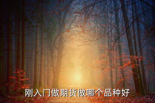 期貨新手做什么品種好，剛入門做期貨做哪個品種好