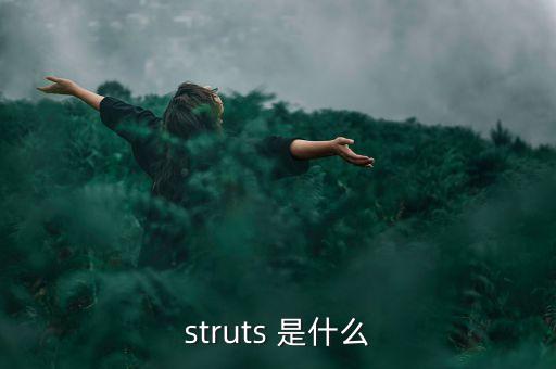 什么是中植系，struts 是什么