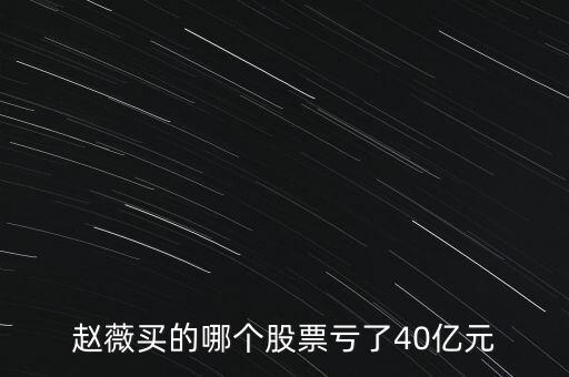 趙薇買的什么股票，趙薇買的哪個股票虧了40億元