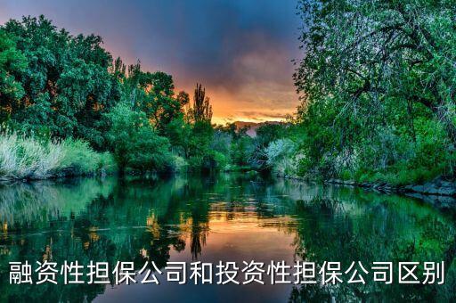 融資性擔保公司和投資性擔保公司區(qū)別