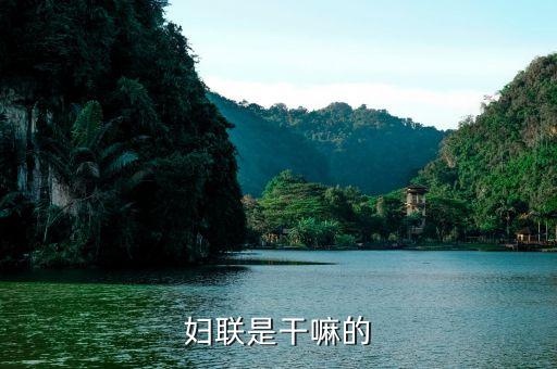 婦聯(lián)執(zhí)委是什么，婦聯(lián)會是什么