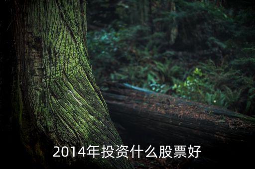 2014什么股好，2014年10月份目前股值被嚴(yán)重低估的股票有哪些