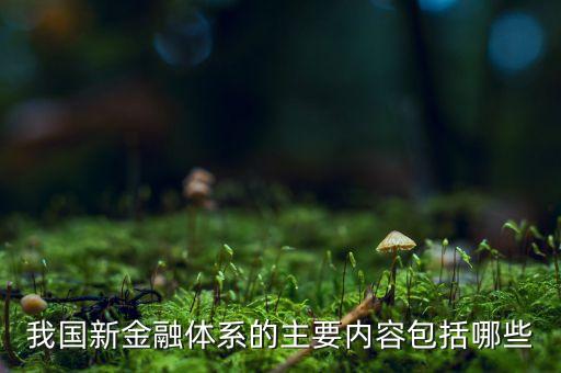 我國的金融體系包括什么，簡述我國現(xiàn)行的金融體系分別有哪些金融機構
