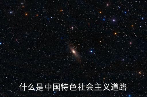 什么是中國(guó)特色社會(huì)主義道路