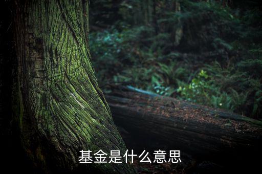 一張圖看懂什么是基金，什么是基金