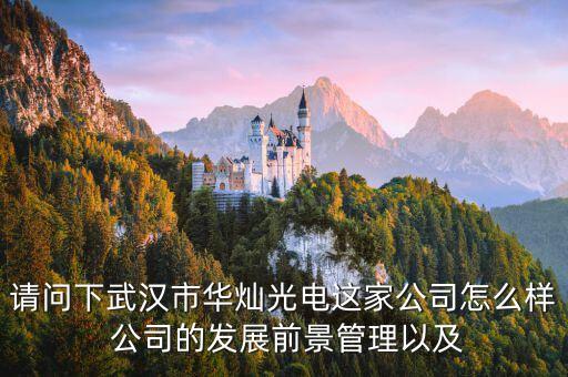 300323華燦光電是干什么的，蘇州華燦光電工作是流水線嗎