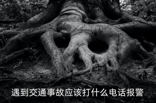 撞車(chē)后報(bào)警電話(huà)打什么，車(chē)肇事打什么電話(huà)報(bào)案